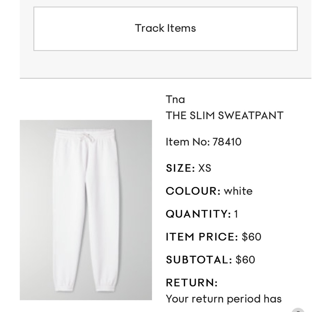 ARITZIA TNA SLIM SWEATS